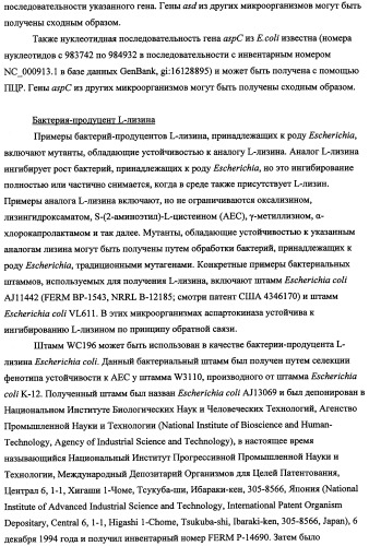 Способ получения l-треонина с использованием бактерии, принадлежащей к роду escherichia, в которой инактивирован кластер генов yrah-r (патент 2337962)