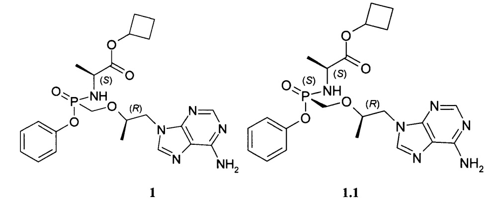 Циклобутил (s)-2-[[[(r)-2-(6-аминопурин-9-ил)-1-метил-этокси]метил-фенокси-фосфорил]амино]-пропаноаты, способ их получения и применения (патент 2647576)