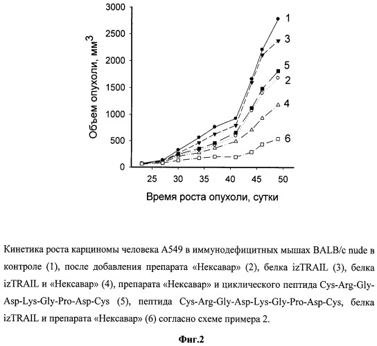 Способ подавления роста опухолей (патент 2530592)