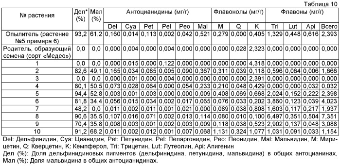 Роза, содержащая флавон и мальдивин, и способ ее получения (патент 2463348)