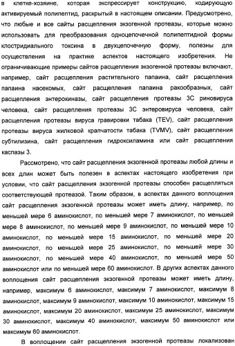 Способы лечения мочеполовых-неврологических расстройств с использованием модифицированных клостридиальных токсинов (патент 2491086)