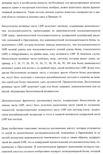 Молекулы нуклеиновых кислот, кодирующие wrinkled1-подобные полипептиды, и способы их применения в растениях (патент 2385347)