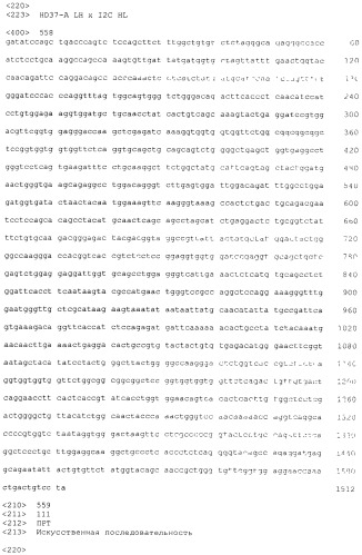 Pscaxcd3, cd19xcd3, c-metxcd3, эндосиалинxcd3, epcamxcd3, igf-1rxcd3 или fap-альфаxcd3 биспецифическое одноцепочечное антитело с межвидовой специфичностью (патент 2547600)