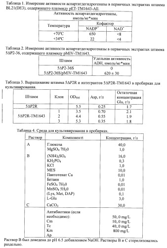 Бактерия семейства enterobacteriaceae - продуцент l-аспарагиновой кислоты или метаболитов, производных l-аспарагиновой кислоты, и способ получения l-аспарагиновой кислоты или метаблитов, производных l-аспарагиновой кислоты (патент 2472853)