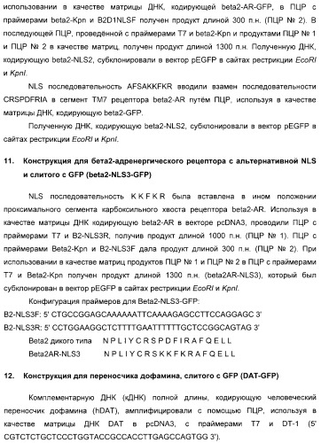 Способ идентификации соединений, взаимодействующих с трансмембранными белками (патент 2326166)