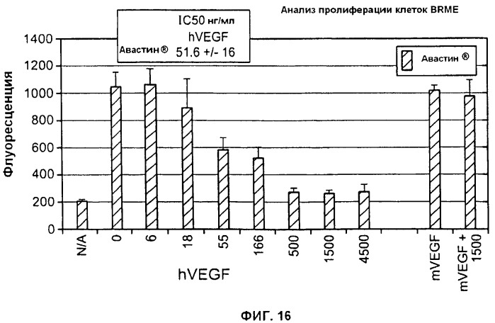 Антитела против фактора роста эндотелия сосудов (vegf) (патент 2514148)