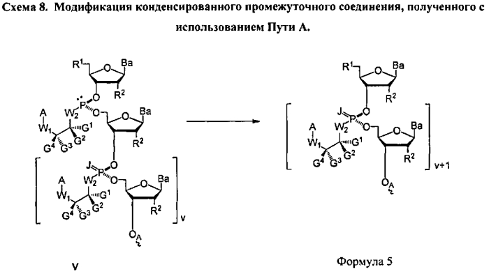 Способ синтеза модифицированных по атому фосфора нуклеиновых кислот (патент 2572826)