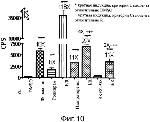 Трансгенное животное, отличное от человека, и его применения (патент 2579701)