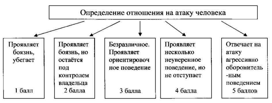 Способ определения рабочих качеств служебных собак (патент 2621382)