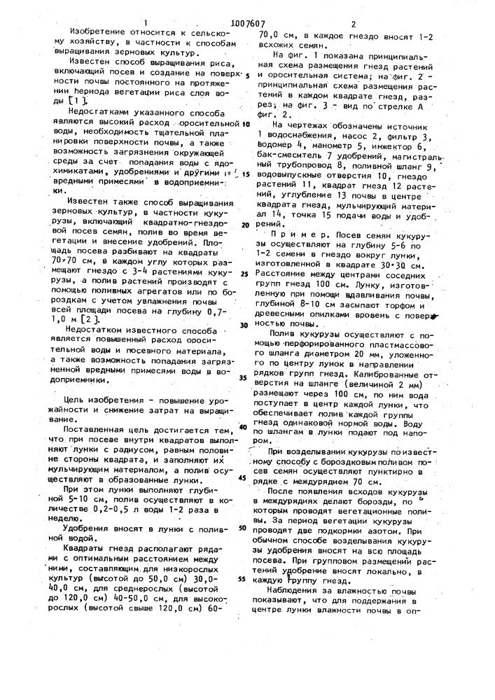 Способ выращивания зерновых культур (патент 1007607)