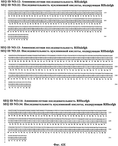 Антитела против вируса гепатита с (патент 2462475)