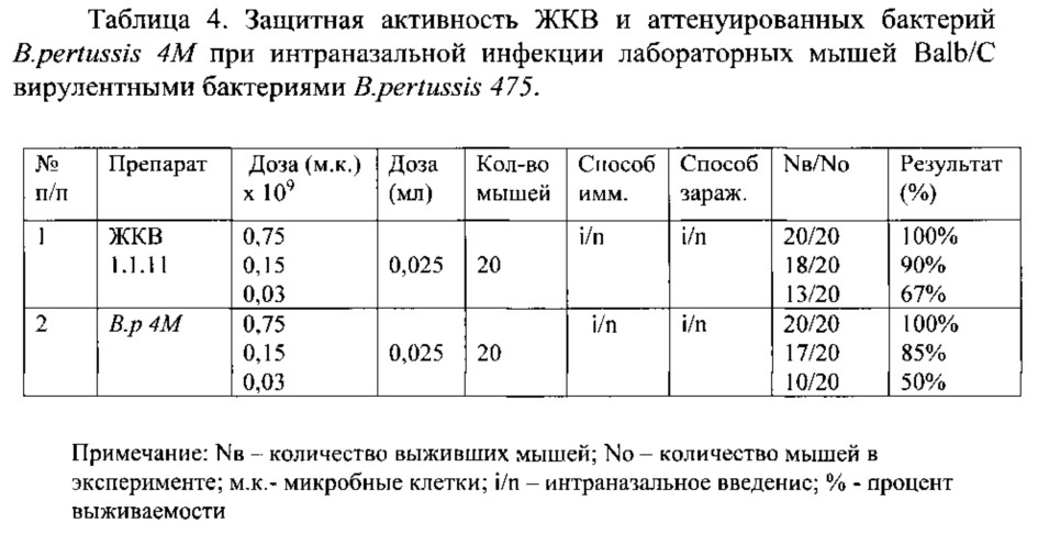 Способ оценки защитной активности коклюшных вакцин (патент 2623314)