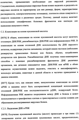 Иммуногенная композиция и способ разработки вакцины, основанной на участках матричного белка вич (патент 2403915)