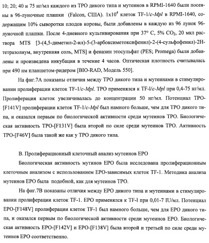 Вариант еро, обладающий повышенным сродством связывания с рецептором и сниженным антигенным потенциалом, днк, кодирующая такой вариант еро, рекомбинантный экспрессионный вектор, содержащий такую днк, клетка-хозяин, трансформированная или трансфектированная таким вектором, способ получения такого варианта еро и фармацевтическая композиция, содержащая такой вариант еро (патент 2432360)