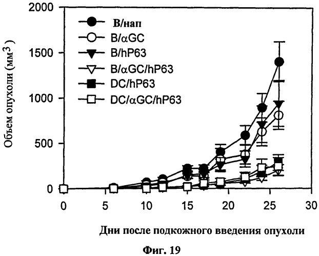 Вакцина на основе в-клеток, нагруженных лигандом т-клеток-природных киллеров и антигеном (патент 2420311)