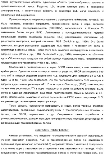 Способ идентификации соединений, взаимодействующих с трансмембранными белками (патент 2326166)