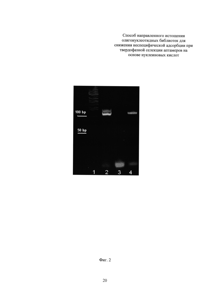Способ направленного истощения олигонуклеотидных библиотек для снижения неспецифической адсорбции при твердофазной селекции аптамеров на основе нуклеиновых кислот (патент 2618872)