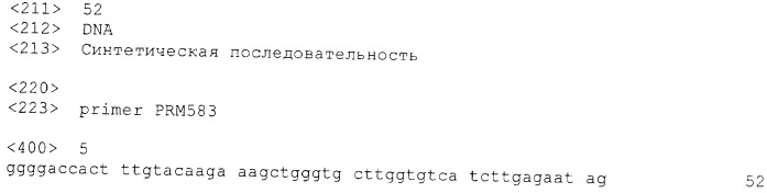 Растения с повышенной урожайностью и способ их получения (патент 2377306)