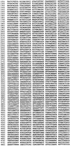 Антигены neisseria meningitidis (патент 2343159)