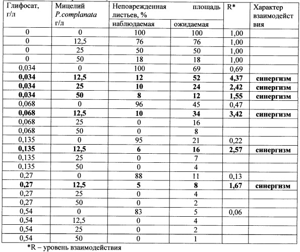 Способ борьбы с нежелательной травянистой растительностью класса dicotyledones (патент 2543665)