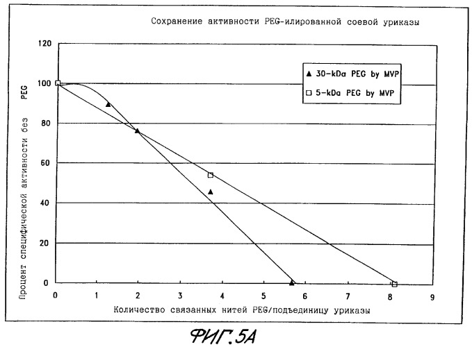 Конъюгаты peg-уратоксидазы, их использование, способ изолирования тетрамерной формы уриказы (патент 2349341)