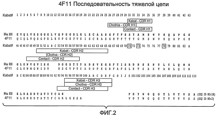 Антитела к egfl7 и способы их применения (патент 2415870)