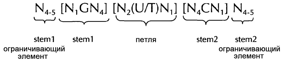 Нуклеиновая кислота, содержащая или кодирующая гистоновую структуру типа"стебель-петля" и поли(а)-последовательность или сигнал полиаденилирования, для увеличения экспрессии кодируемого опухолевого антигена (патент 2650795)