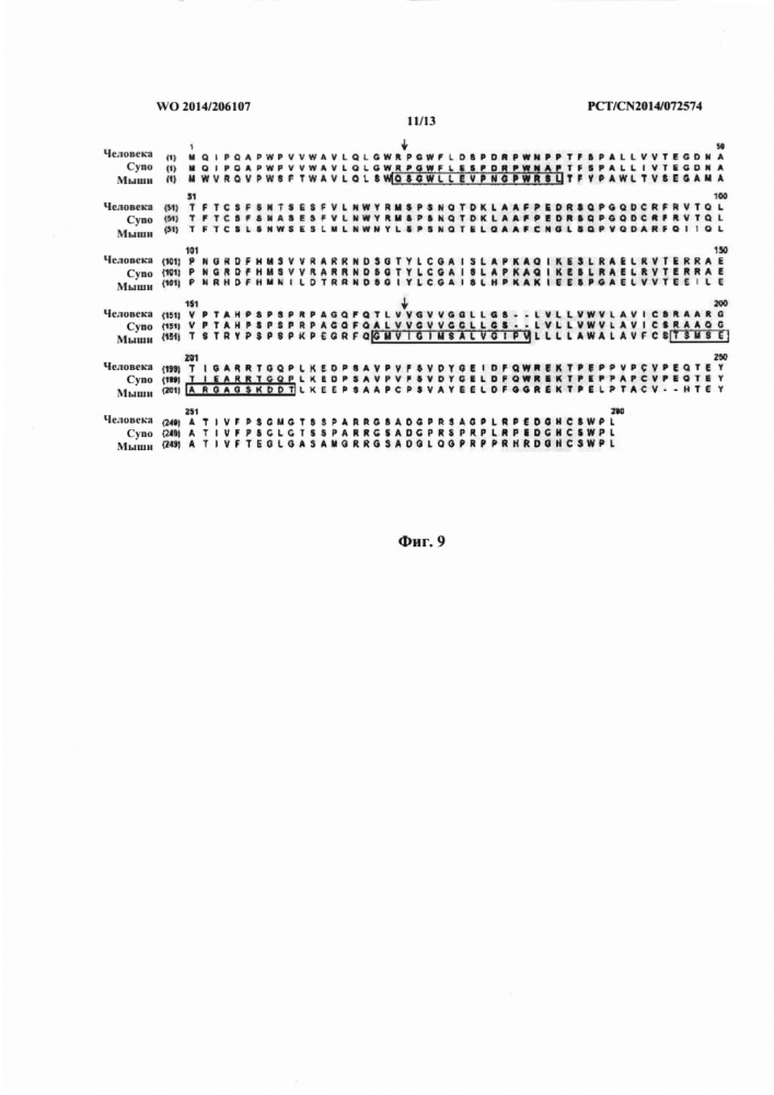 Антитело к pd-1 и его применение (патент 2663795)