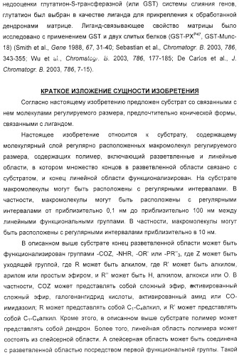 Макромолекула регулируемого размера (патент 2326172)