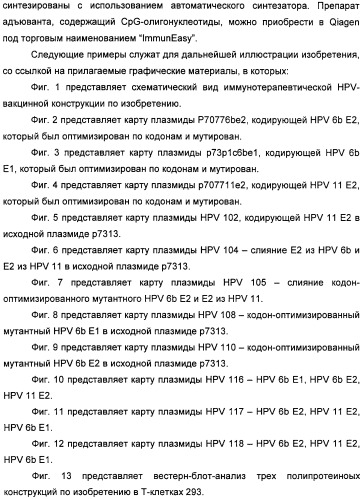 Полинуклеотидная последовательность, кодирующая полипептид вируса папилломы человека, ее применение, а также содержащие ее вектор и фармацевтическая композиция (патент 2354701)