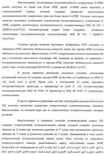 Система экспрессии компонентов ортогональной трансляции в эубактериальной клетке-хозяине (патент 2467069)