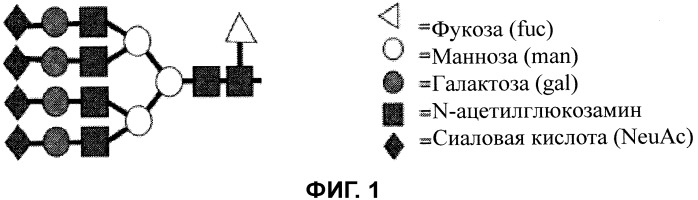 Способы, относящиеся к модифицированным гликанам (патент 2526250)