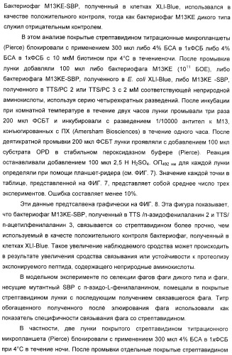 Селективная посттрансляционная модификация экспонируемых фагами полипептидов (патент 2459866)