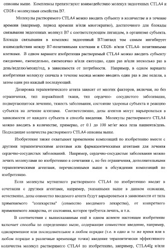 Способ лечения сердечно-сосудистого заболевания с применением растворимого ctla4 (патент 2353384)