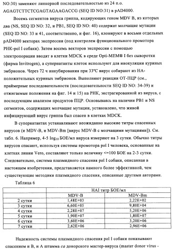 Способы и композиции для экспрессии антисмысловой вирусной рнк в клетках собаки (патент 2457250)