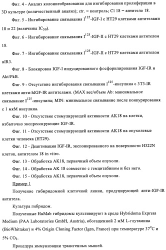 Антитела к рецептору инсулиноподобного фактора роста i и их применение (патент 2363706)