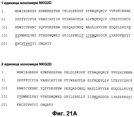 Антитела к человеческому nkg2d и их применения (патент 2563343)