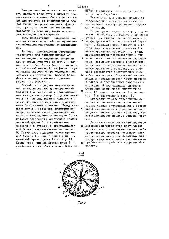 Устройство для очистки плодов от околоплодника и выделения семян из косточковых культур (патент 1253582)