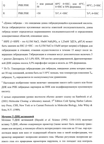 Растения, имеющие улучшенные характеристики роста, и способы их получения (патент 2463352)