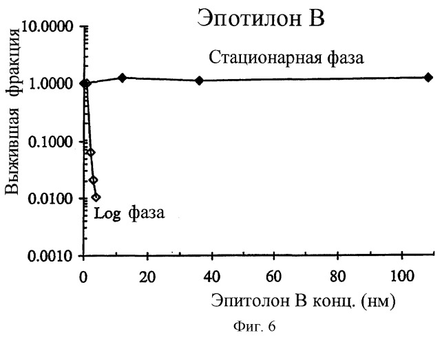 Синергические способы и композиции для лечения рака (патент 2264217)