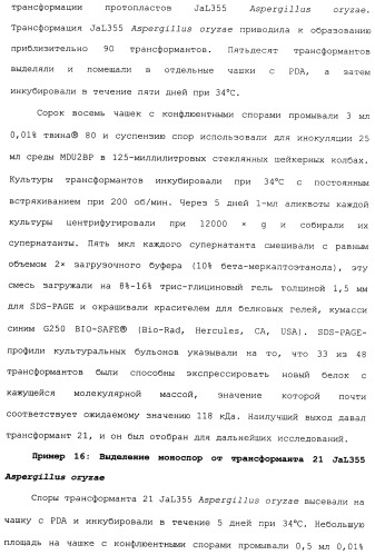 Клетка-хозяин trichoderma reesei для получения целлюлолитической белковой композиции, целлюлолитическая белковая композиция, способы ее получения и применения (патент 2494146)