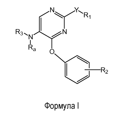 Феноксизамещенные пиримидины для использования в качестве модуляторов опиоидных рецепторов (патент 2554870)