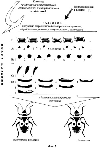 Способ биоиндикации среды (патент 2329501)