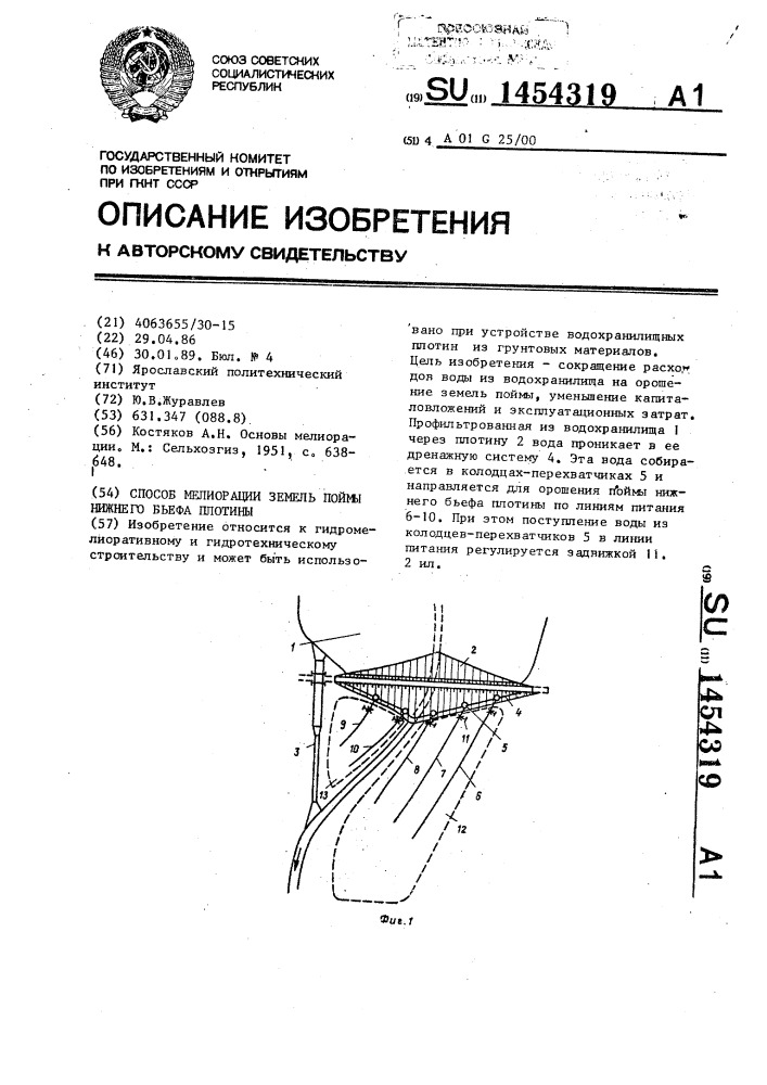 Способ мелиорации земель поймы нижнего бьефа плотины (патент 1454319)