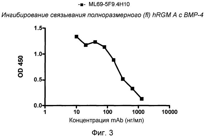 Моноклональные антитела против белка rgm а и их применение (патент 2524136)