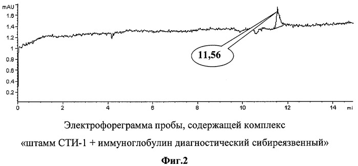 Способ комплексной иммуноэлектрофоретической идентификации споровых форм бактерий на основе капиллярного электрофореза (патент 2420590)