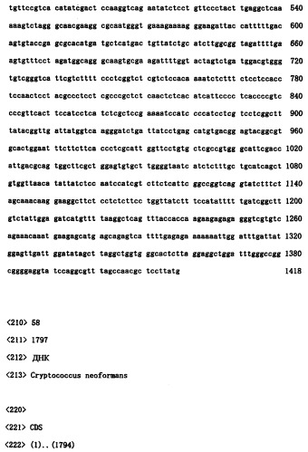 Ген синтеза клеточной стенки грибков (патент 2286387)