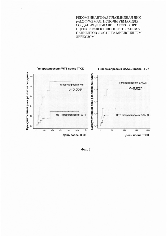 Рекомбинантная плазмидная днк pal2-t-wbmag, используемая для создания днк-калибраторов при оценке эффективности терапии у пациентов с острым миелоидным лейкозом (патент 2642315)