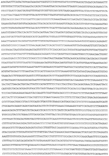 Применение s1p (патент 2362565)