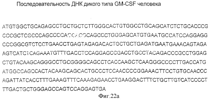 Способ усиления иммунного ответа млекопитающего на антиген (патент 2370537)